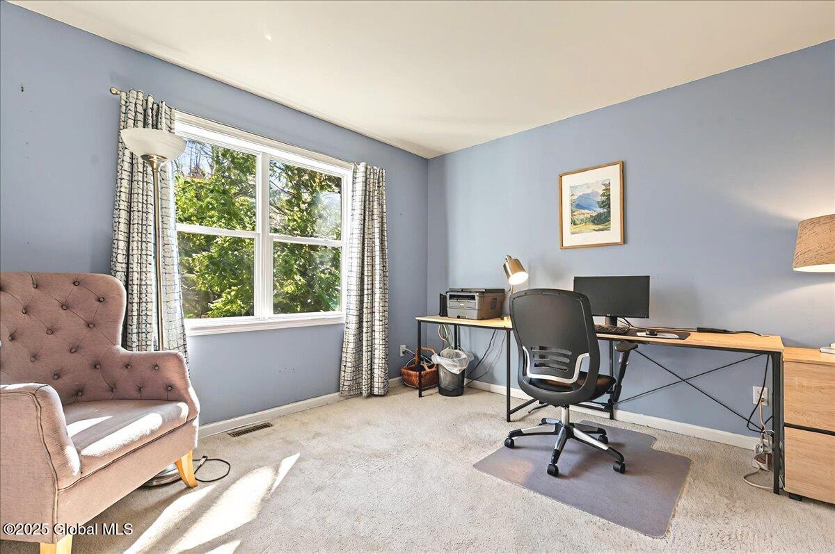 10 Maya Drive, Gansevoort, New York image 39