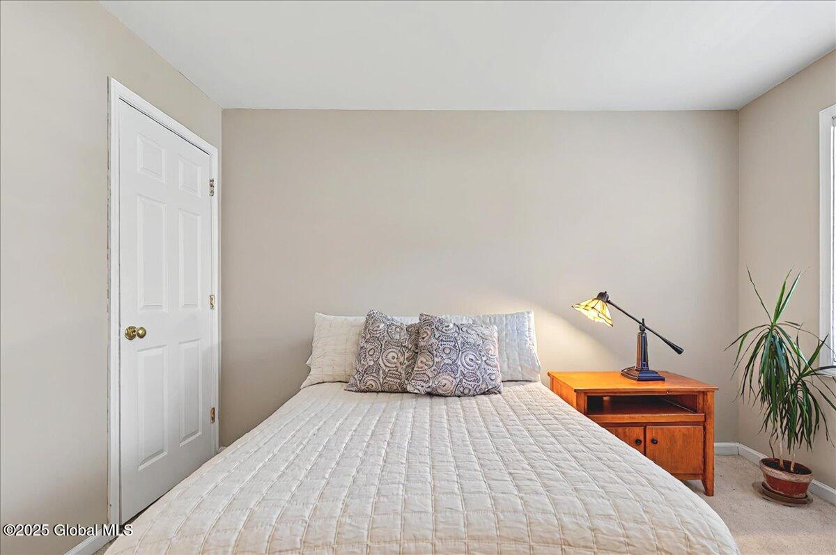10 Maya Drive, Gansevoort, New York image 44