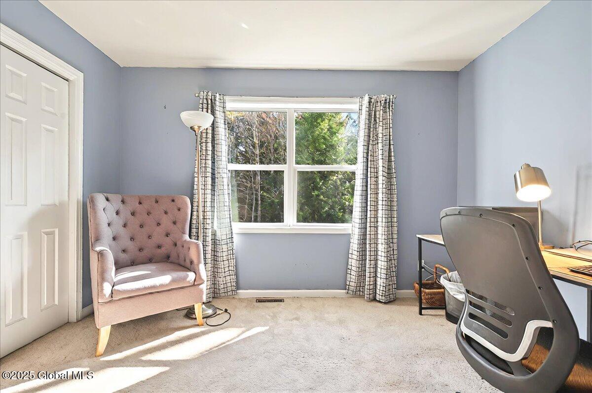 10 Maya Drive, Gansevoort, New York image 38