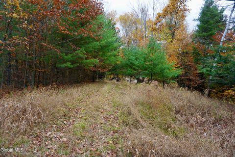 Vacant Land For Sale - 75 Carey Road<br/> Day, NY 12835