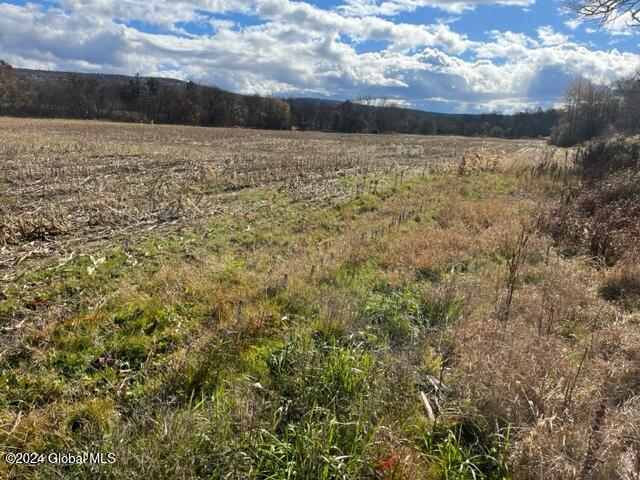 L50.1 State Highway 8, New Berlin, New York image 6