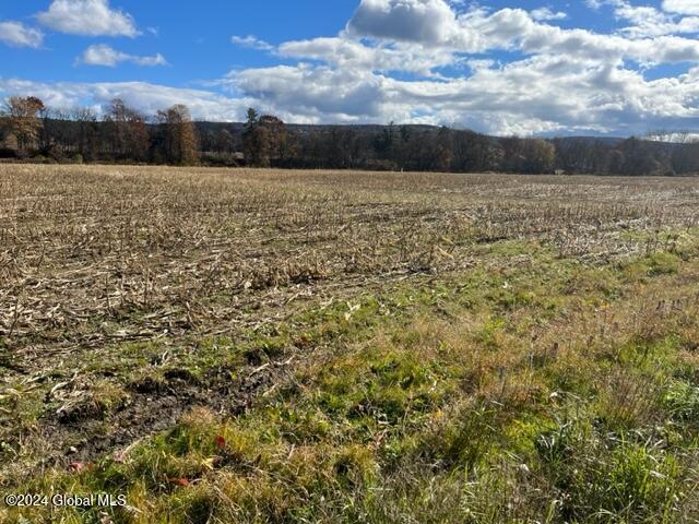 L50.1 State Highway 8, New Berlin, New York image 7