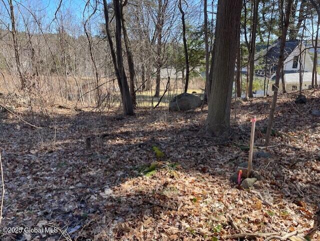 43 Thompson Avenue, Lake George, New York image 3