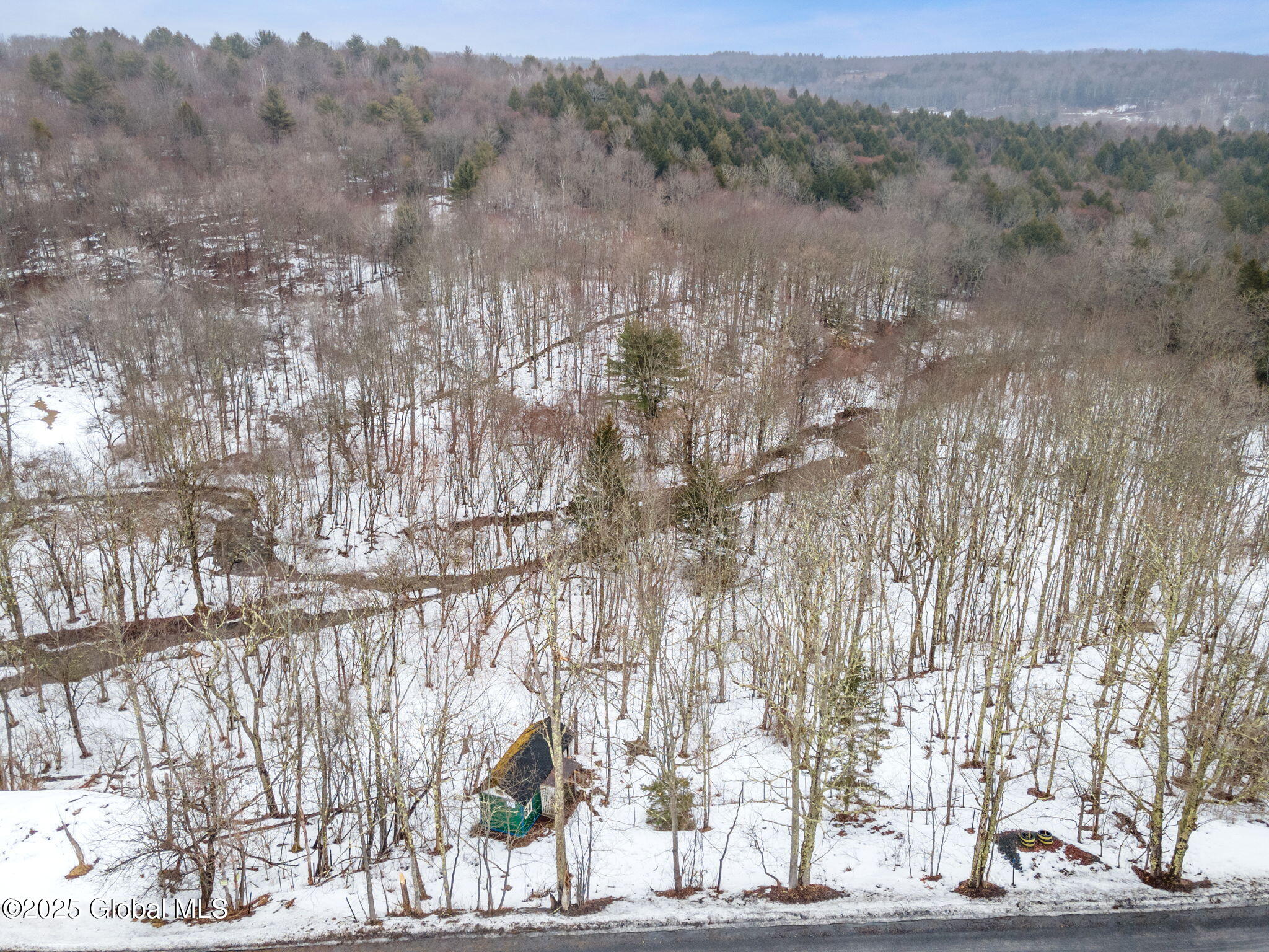 616 Enid Road, Summit, New York image 8