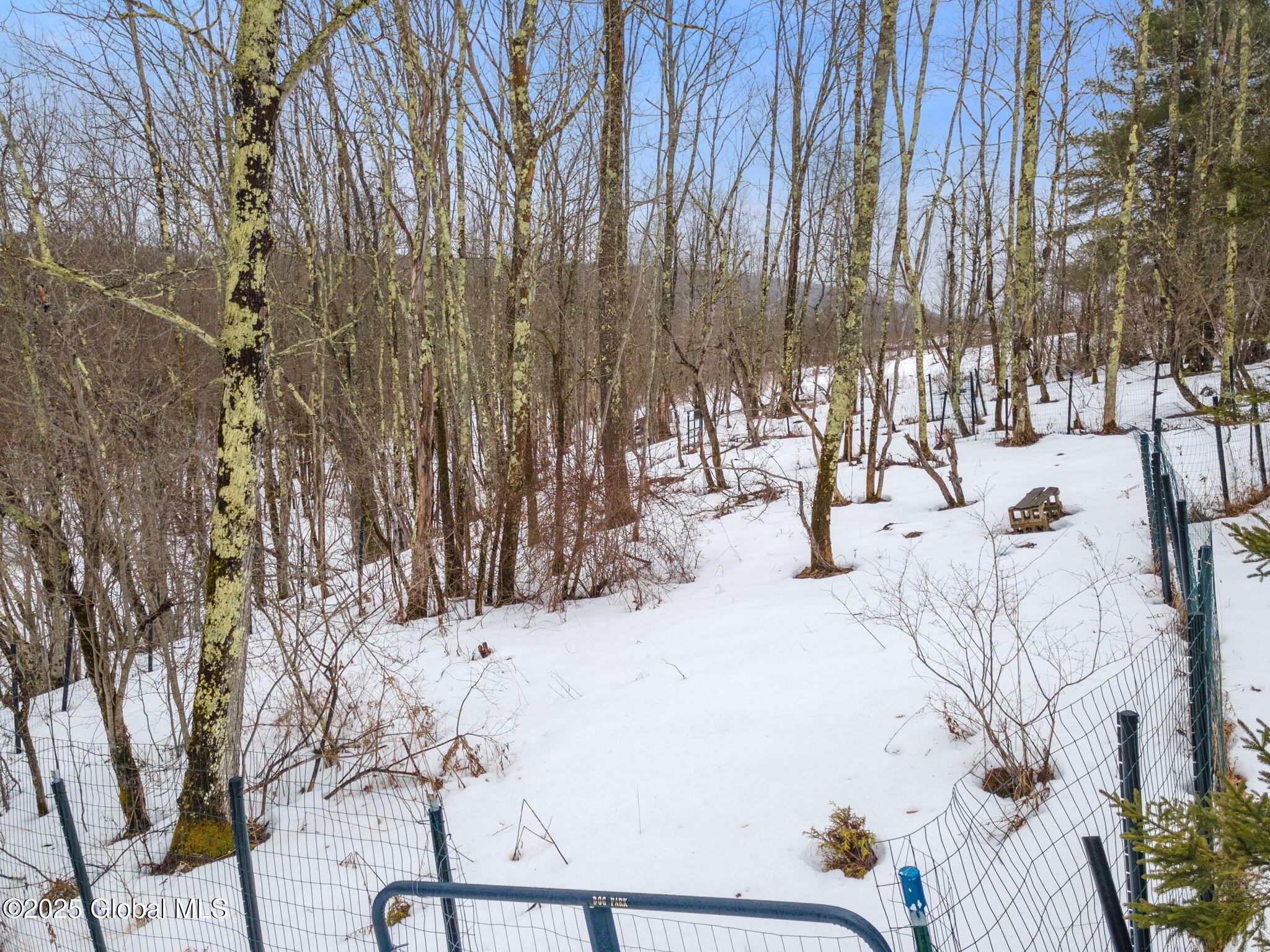 616 Enid Road, Summit, New York image 7