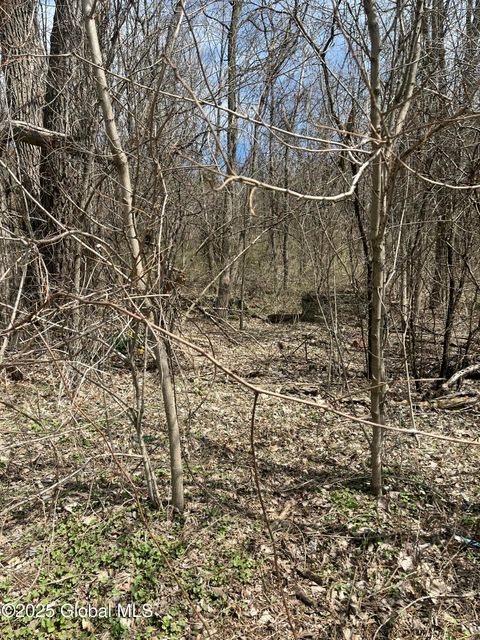 Vacant Land For Sale - 727 County Route 77<br/> Washington County, Greenwich, NY 12834