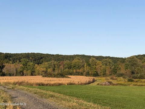 Vacant Land For Sale - L1 Rathbunville Lane<br/> Fort Ann, NY 12827