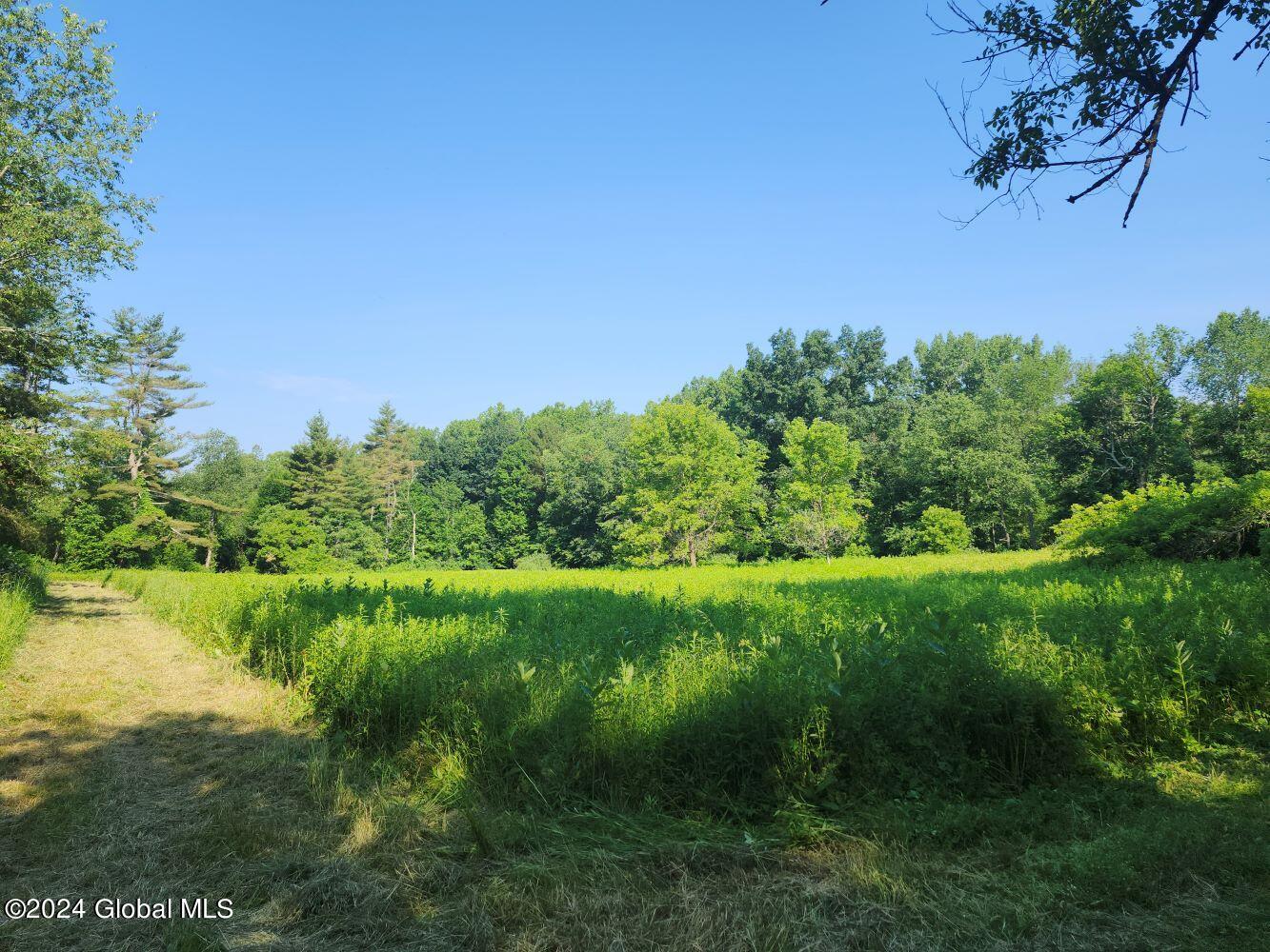 L9.1-4 Nealy Lane, Salem, New York image 22