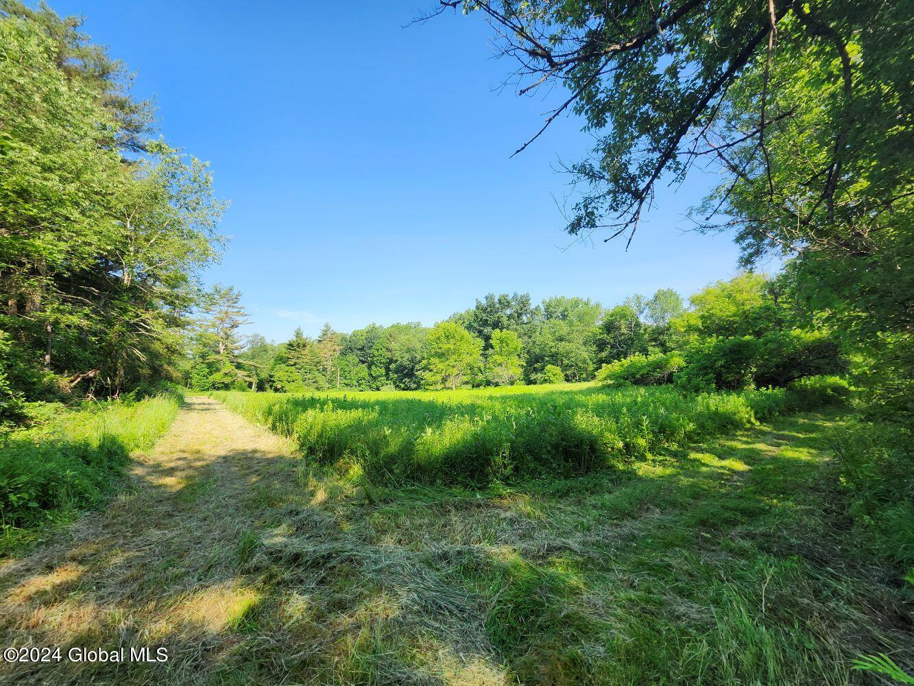 L9.1-4 Nealy Lane, Salem, New York image 21