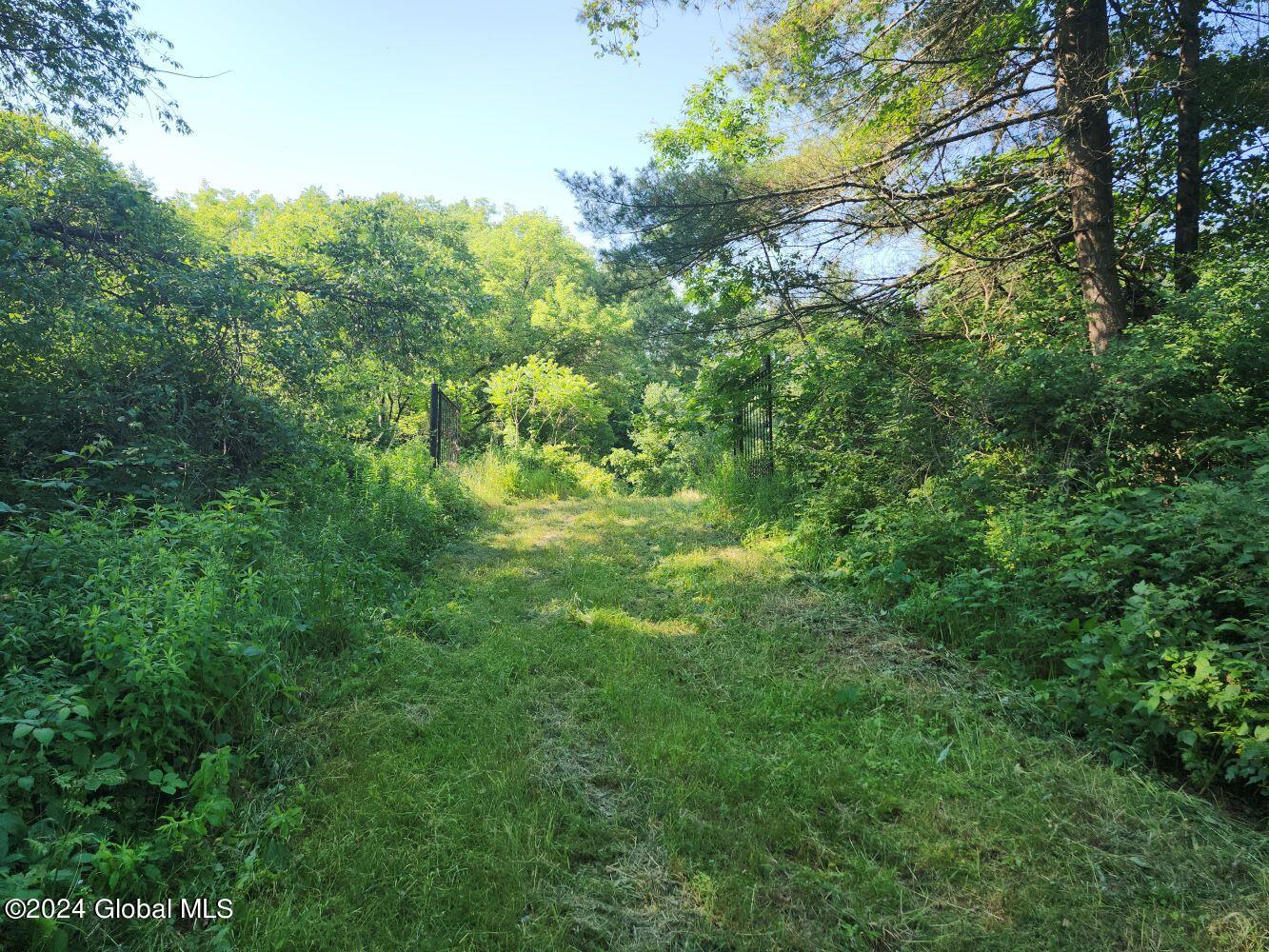 L9.1-4 Nealy Lane, Salem, New York image 23