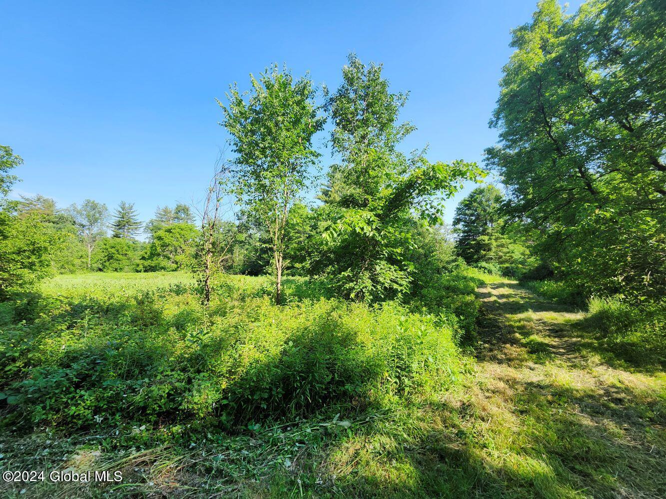 L9.1-4 Nealy Lane, Salem, New York image 24