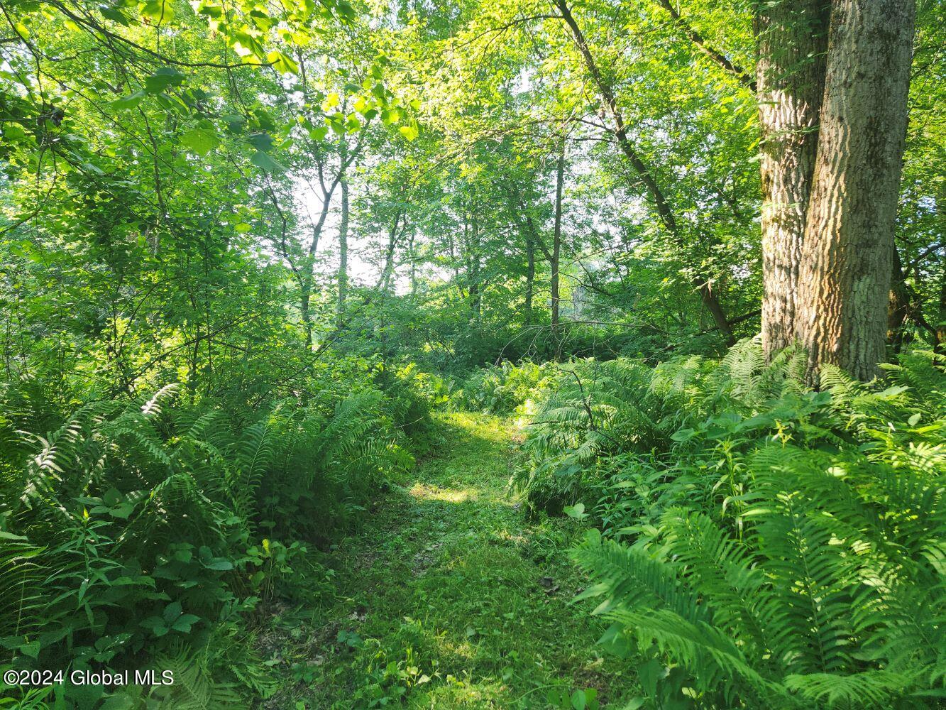 L9.1-4 Nealy Lane, Salem, New York image 4