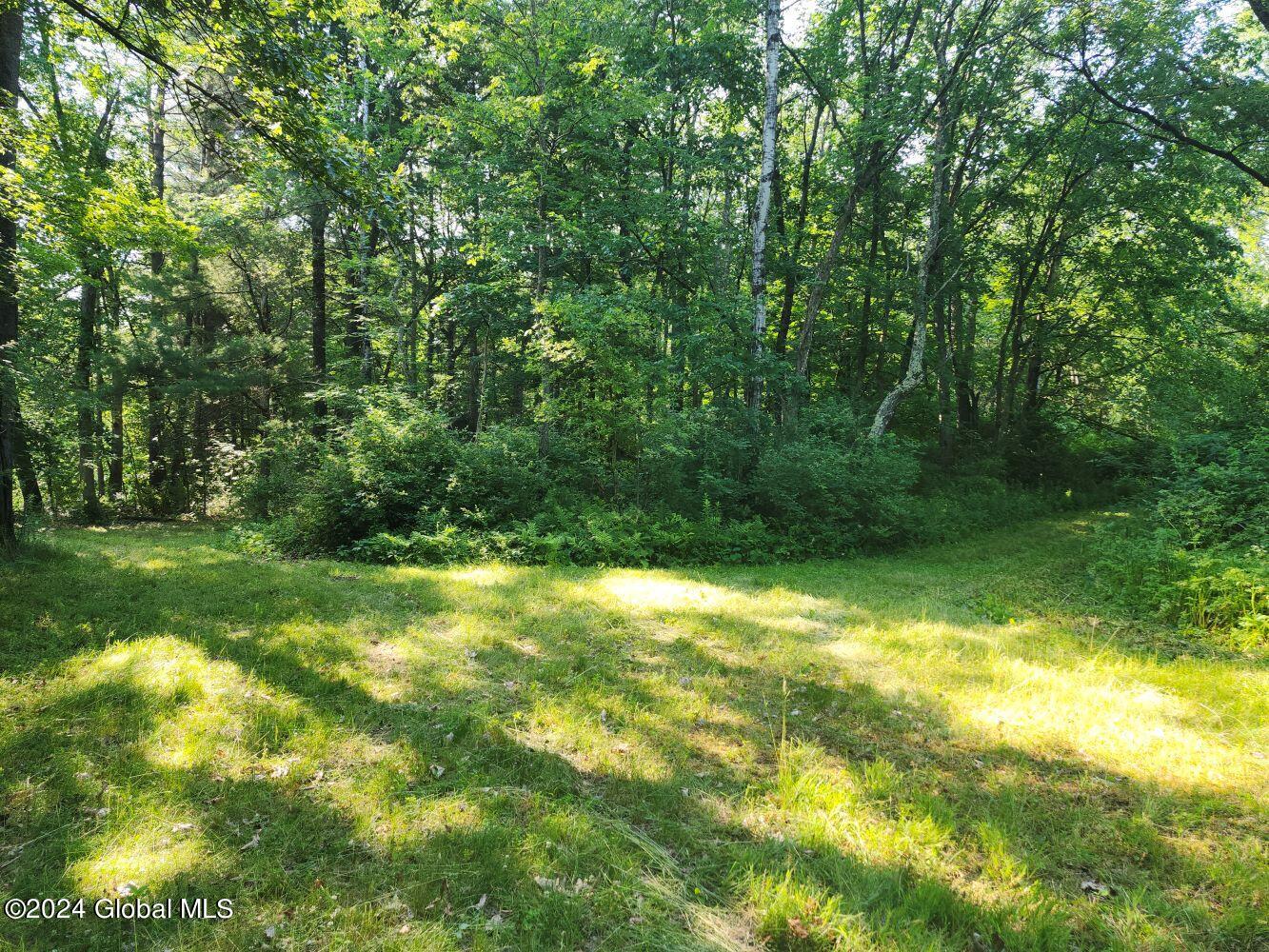 L9.1-4 Nealy Lane, Salem, New York image 14