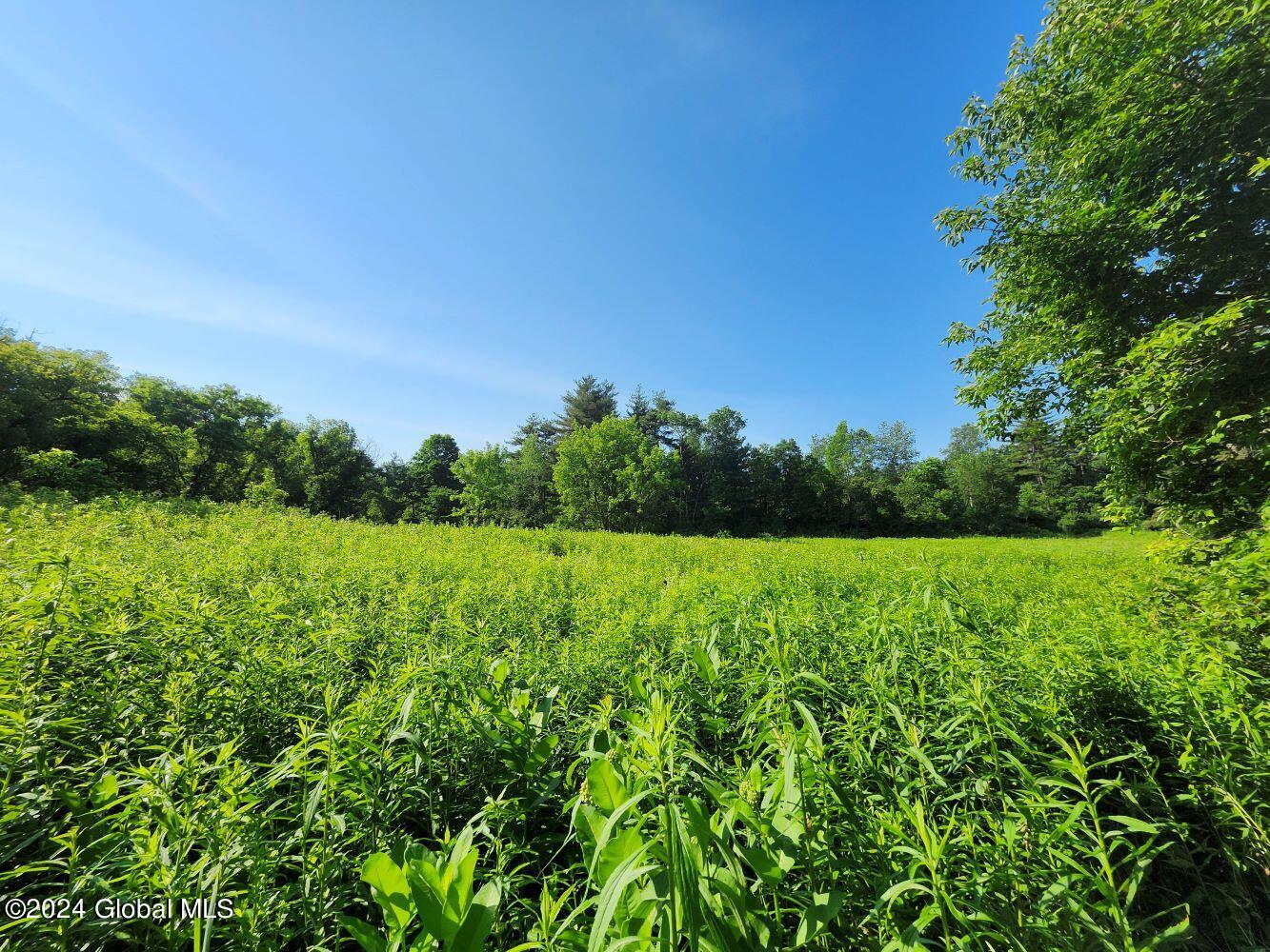 L9.1-4 Nealy Lane, Salem, New York image 6