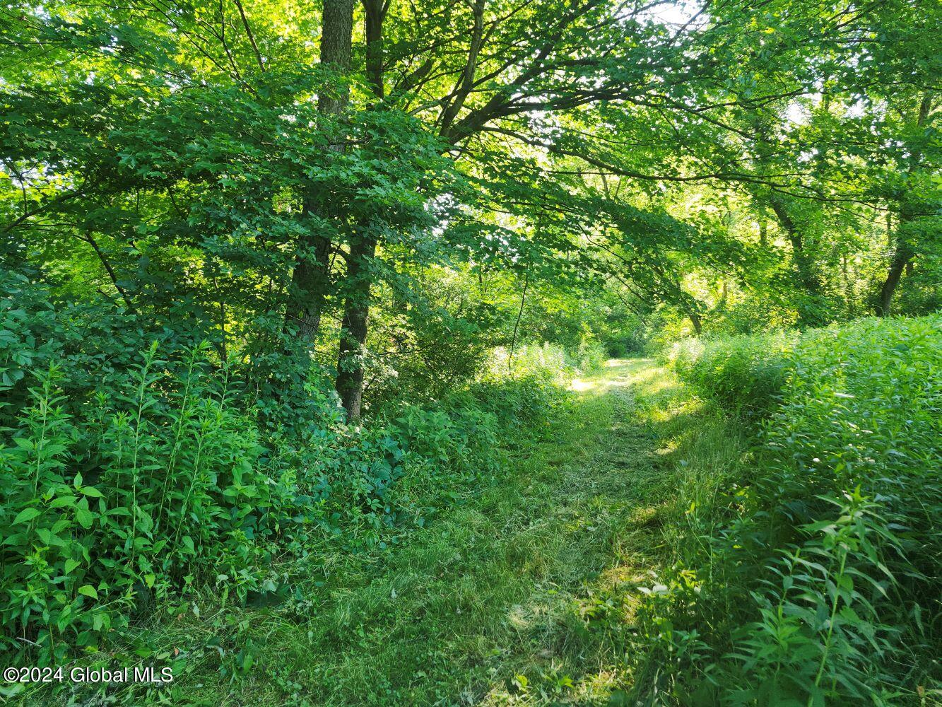 L9.1-4 Nealy Lane, Salem, New York image 8