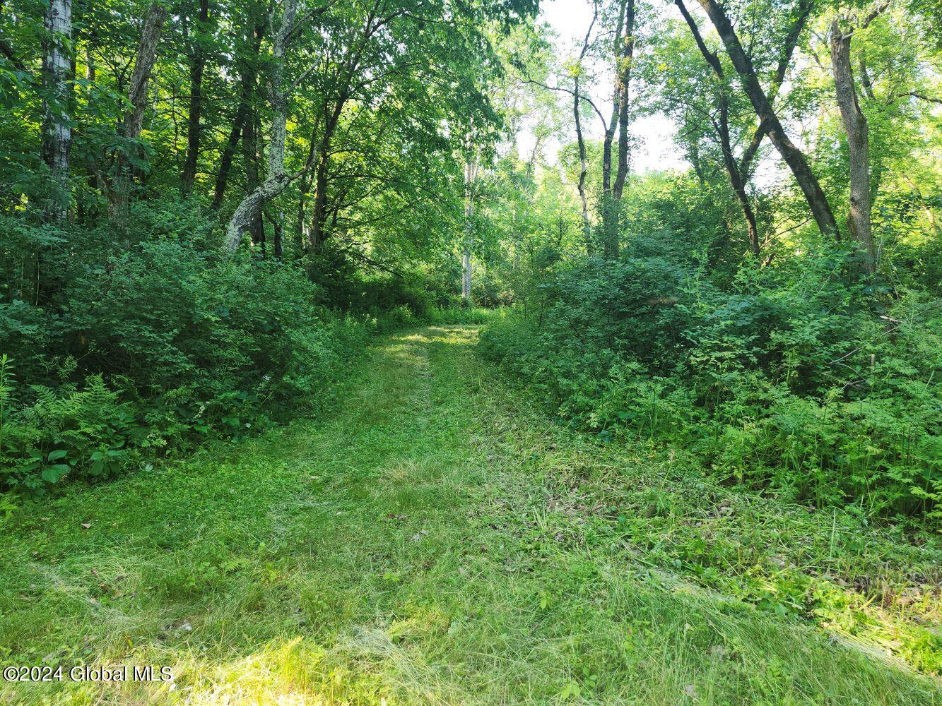 L9.1-4 Nealy Lane, Salem, New York image 20