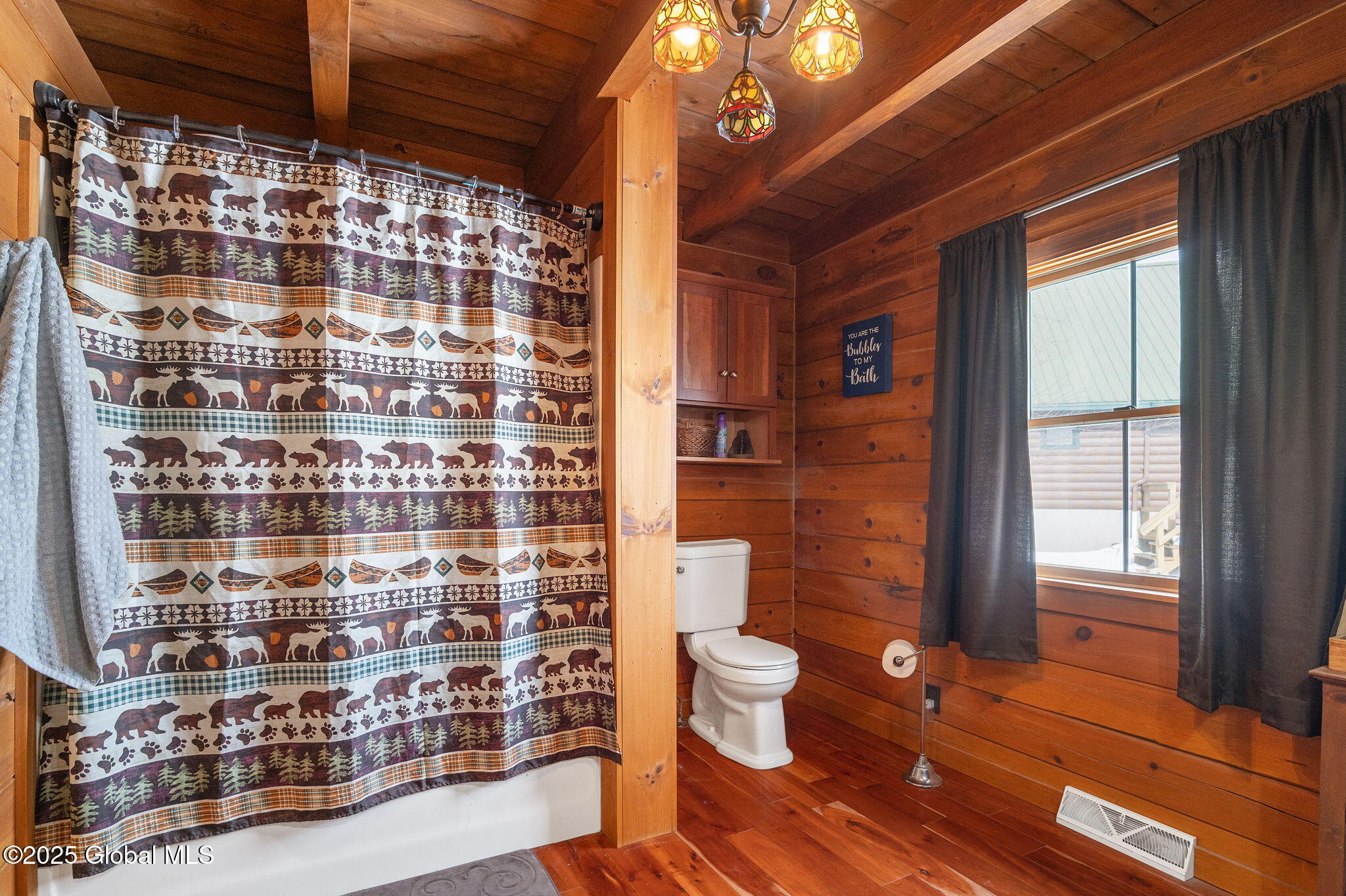 1172 Barton Hill Road, Delanson, New York image 24