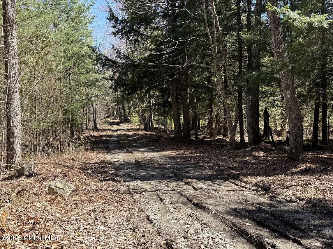 L12.111 Thilo Road, Schroon Lake, New York image 5