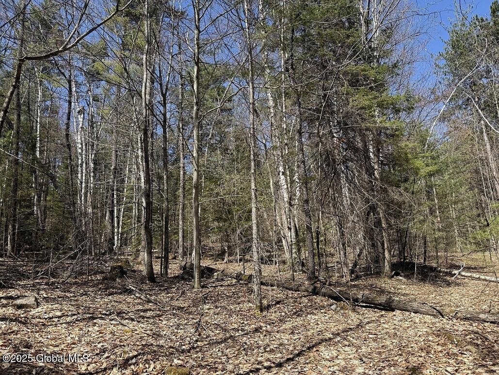 L12.111 Thilo Road, Schroon Lake, New York image 4