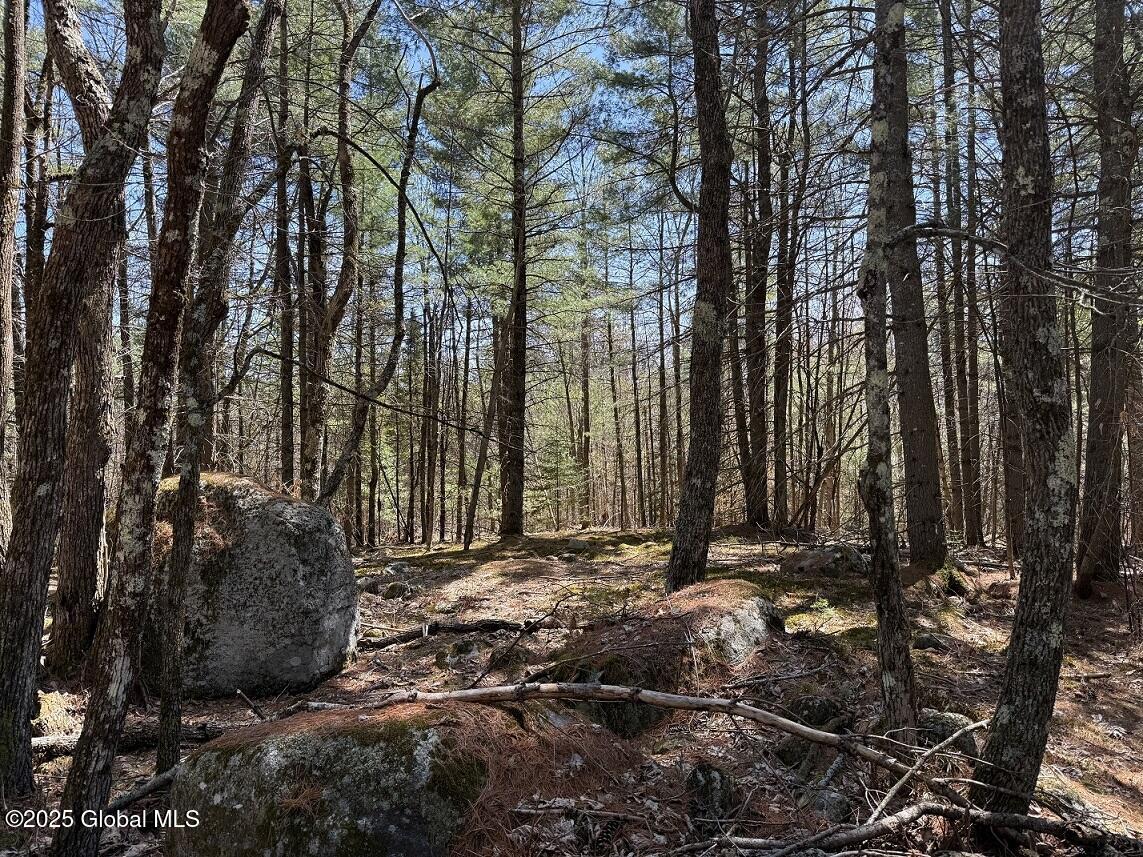 L12.111 Thilo Road, Schroon Lake, New York image 1