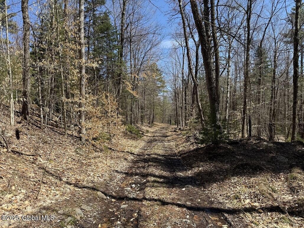 L12.111 Thilo Road, Schroon Lake, New York image 3