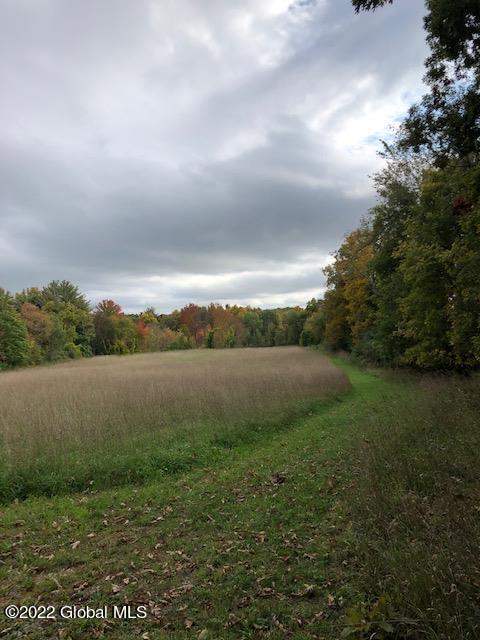 29 Fitting Lane #LOT 3, Troy, New York image 17