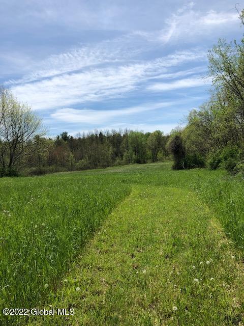 29 Fitting Lane #LOT 3, Troy, New York image 12