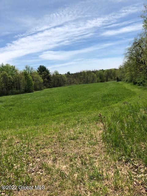 29 Fitting Lane #LOT 3, Troy, New York image 11