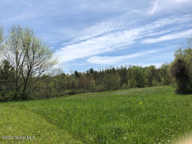 29 Fitting Lane #LOT 3, Troy, New York image 13