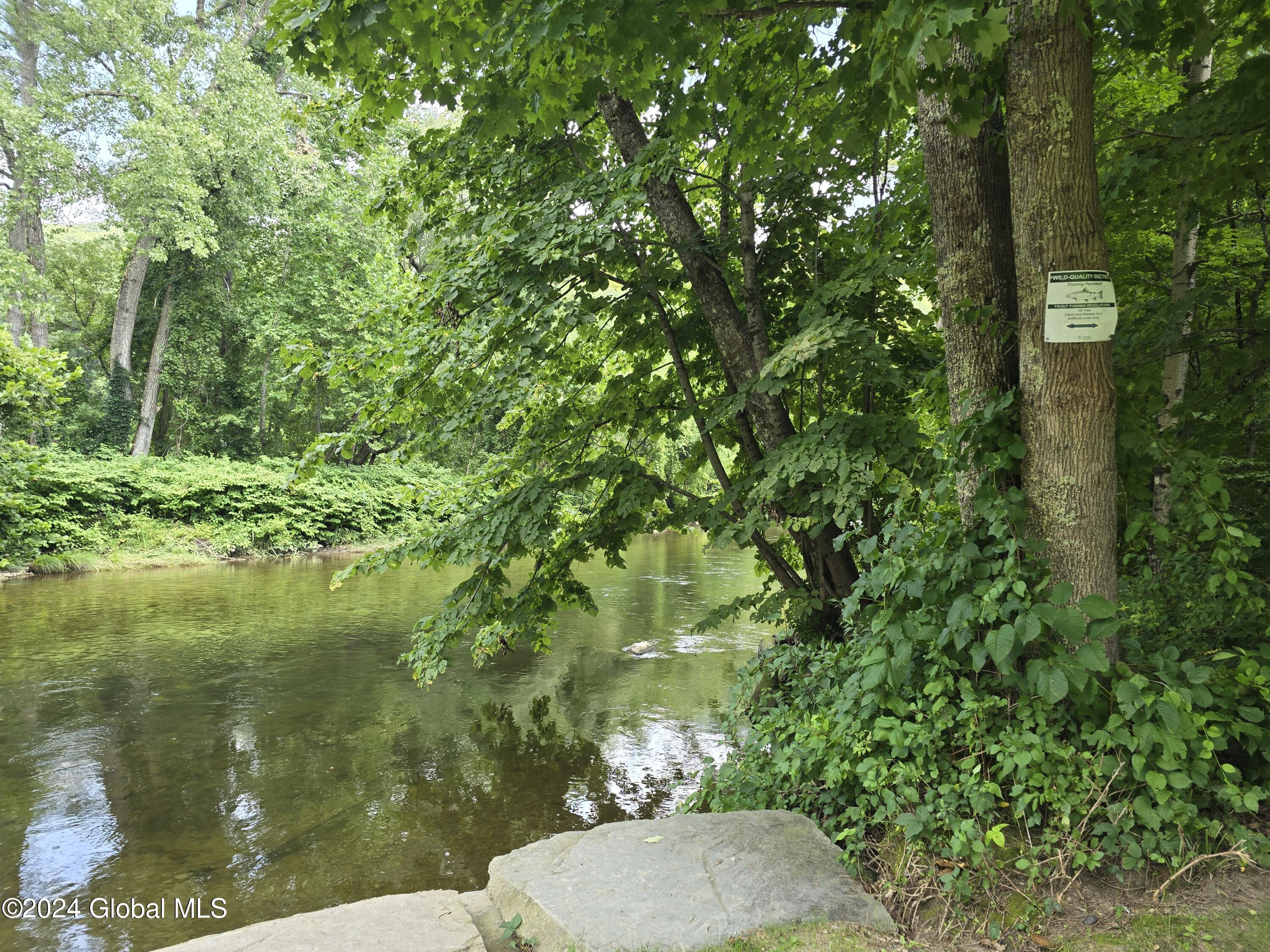 L 2 2065 Ny-313, Shushan, New York image 26