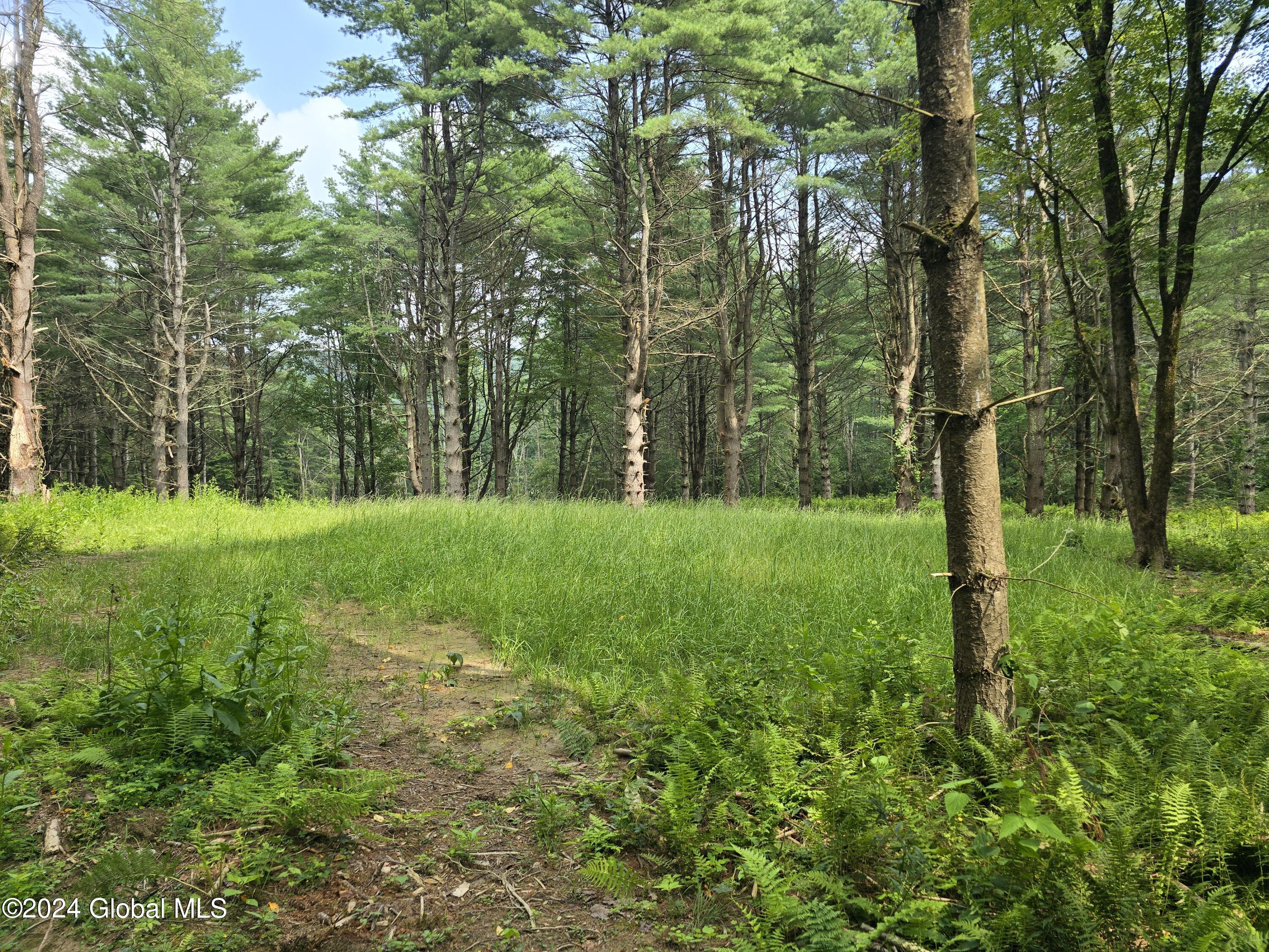 L 2 2065 Ny-313, Shushan, New York image 8