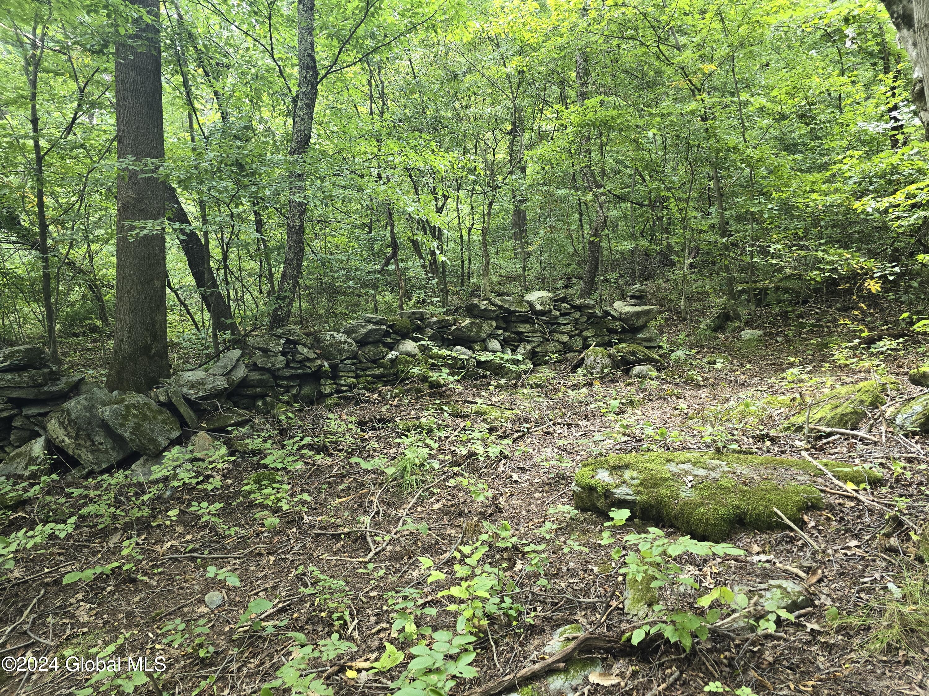 L 2 2065 Ny-313, Shushan, New York image 13