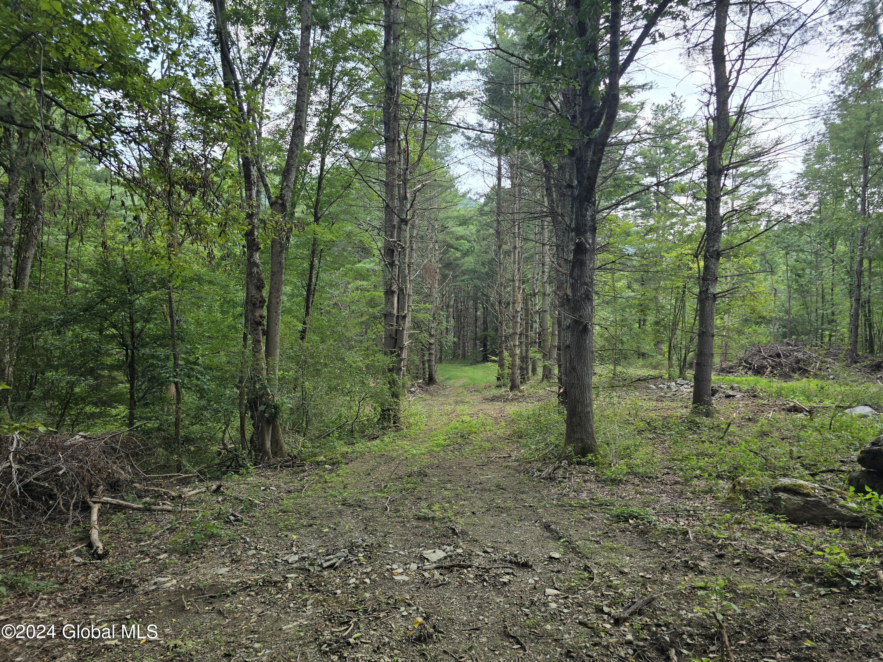 L 2 2065 Ny-313, Shushan, New York image 12