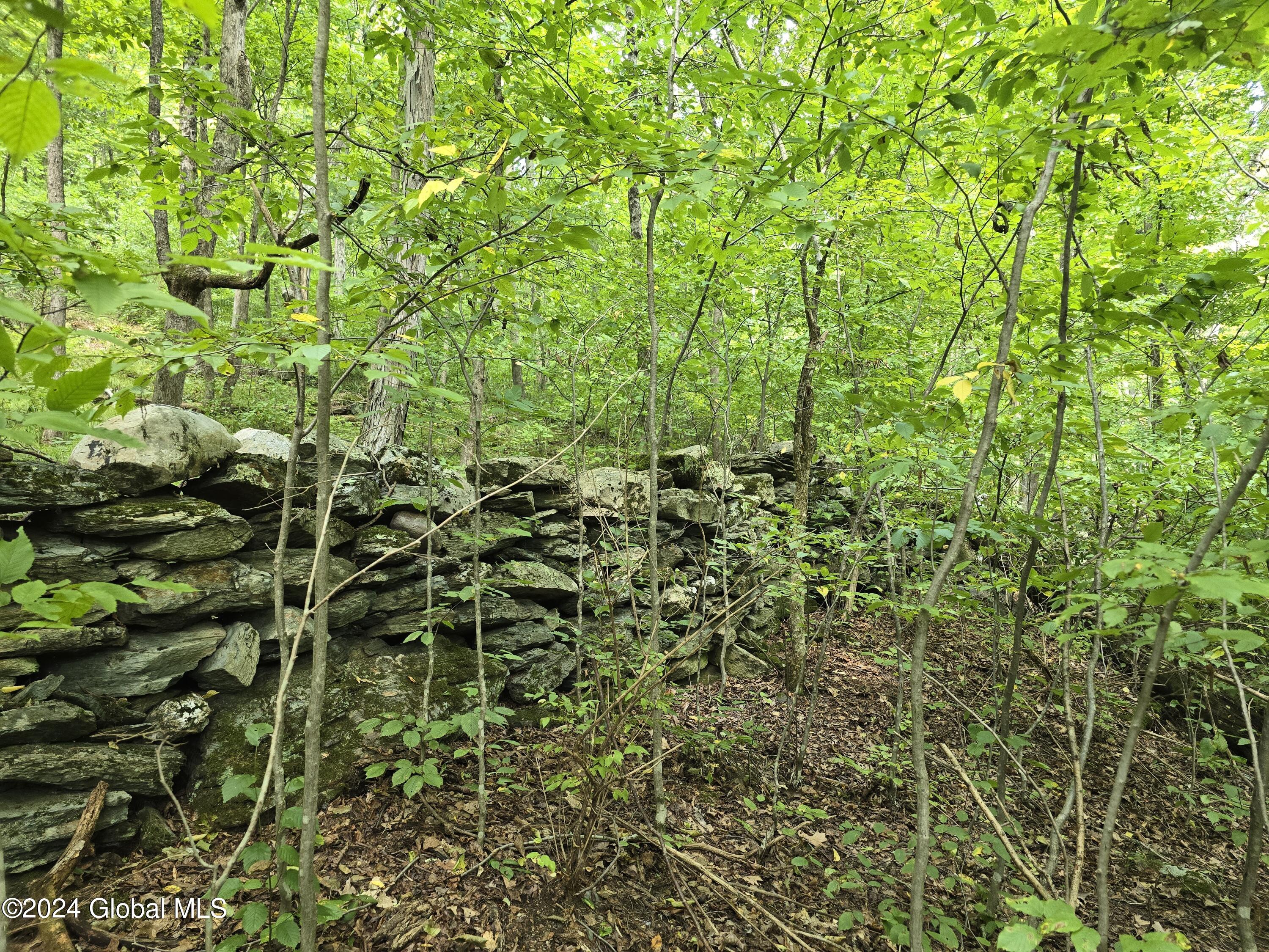 L 2 2065 Ny-313, Shushan, New York image 16