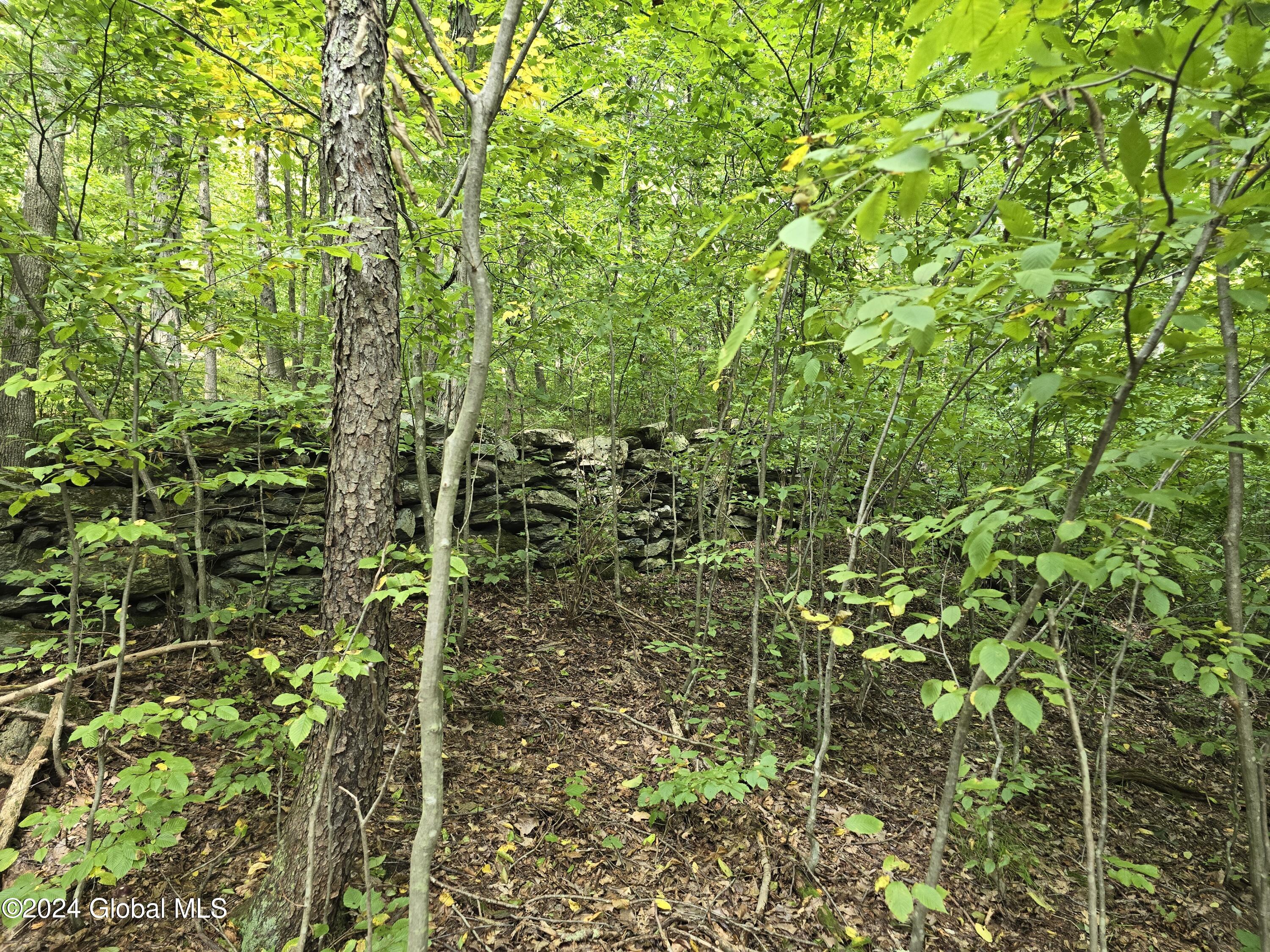 L 2 2065 Ny-313, Shushan, New York image 17