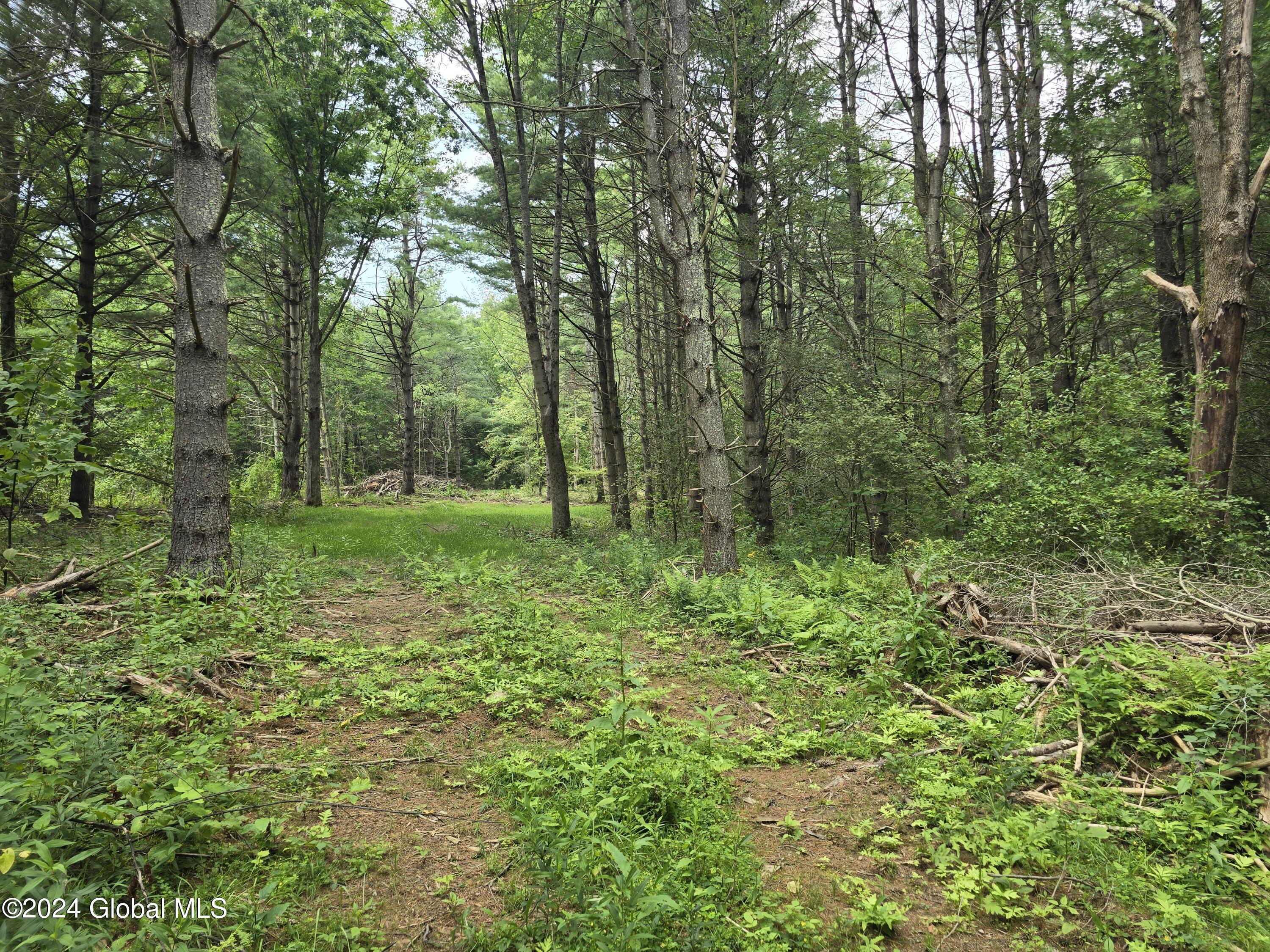 L 2 2065 Ny-313, Shushan, New York image 14