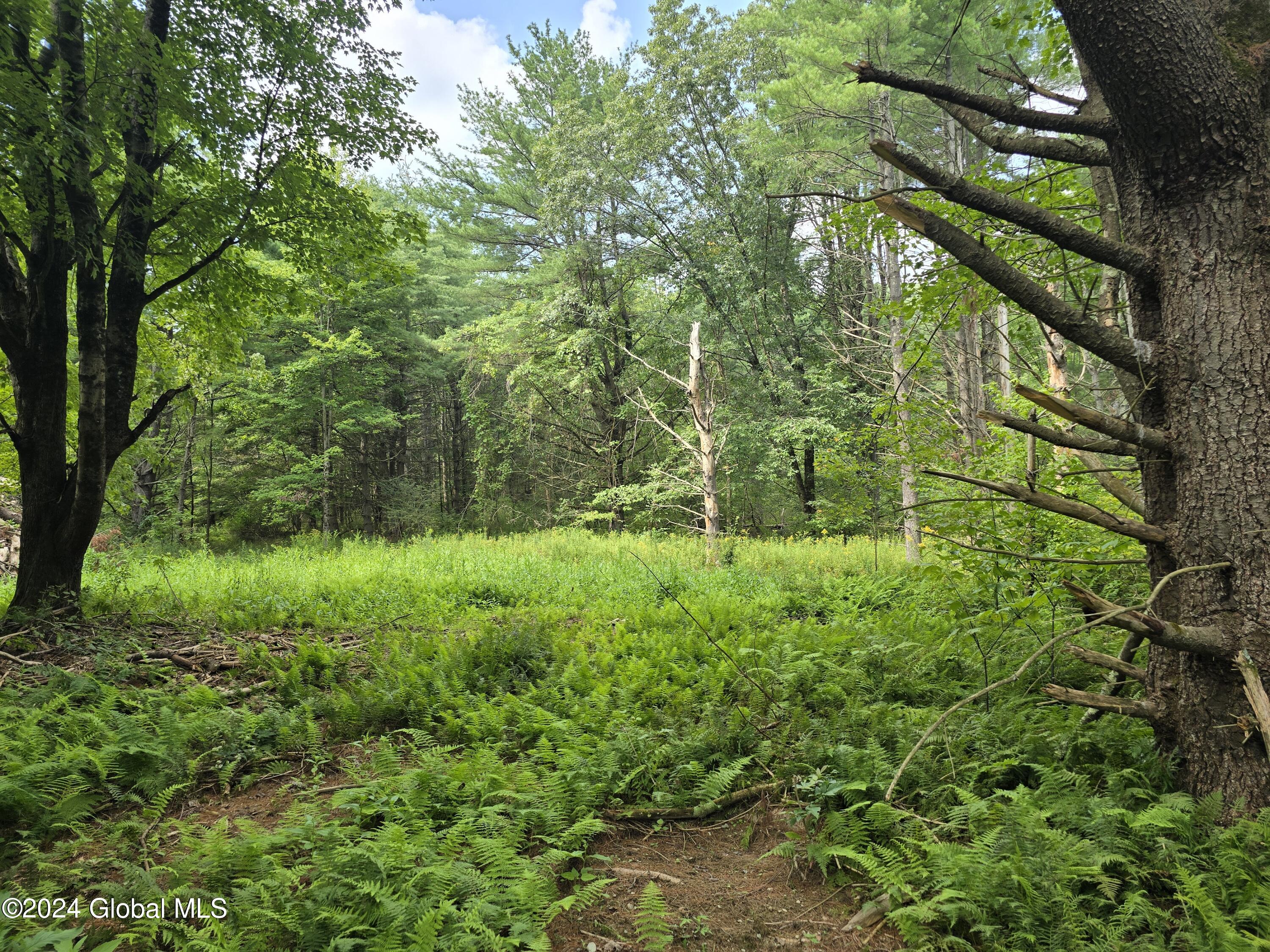 L 2 2065 Ny-313, Shushan, New York image 7