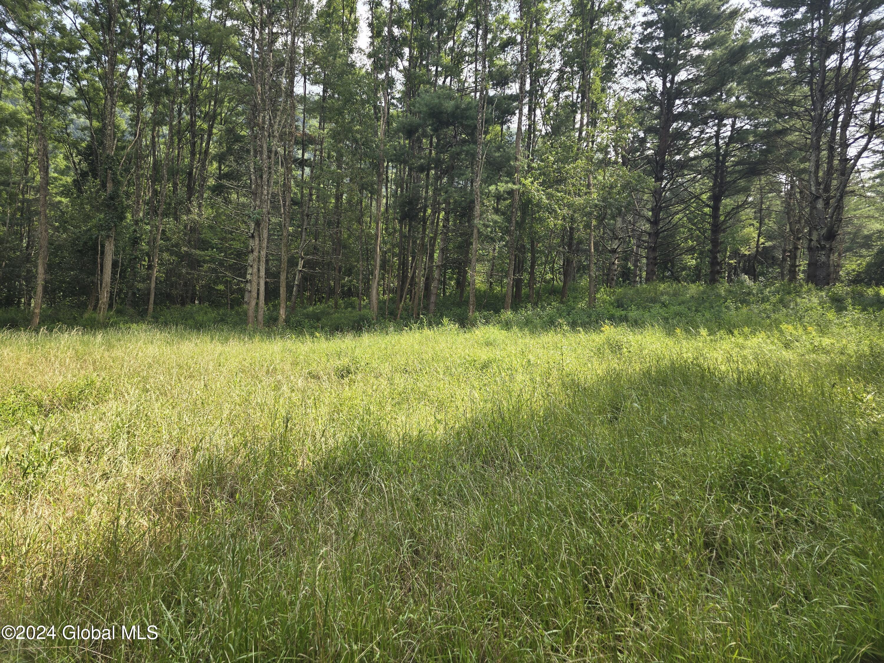 L 2 2065 Ny-313, Shushan, New York image 4