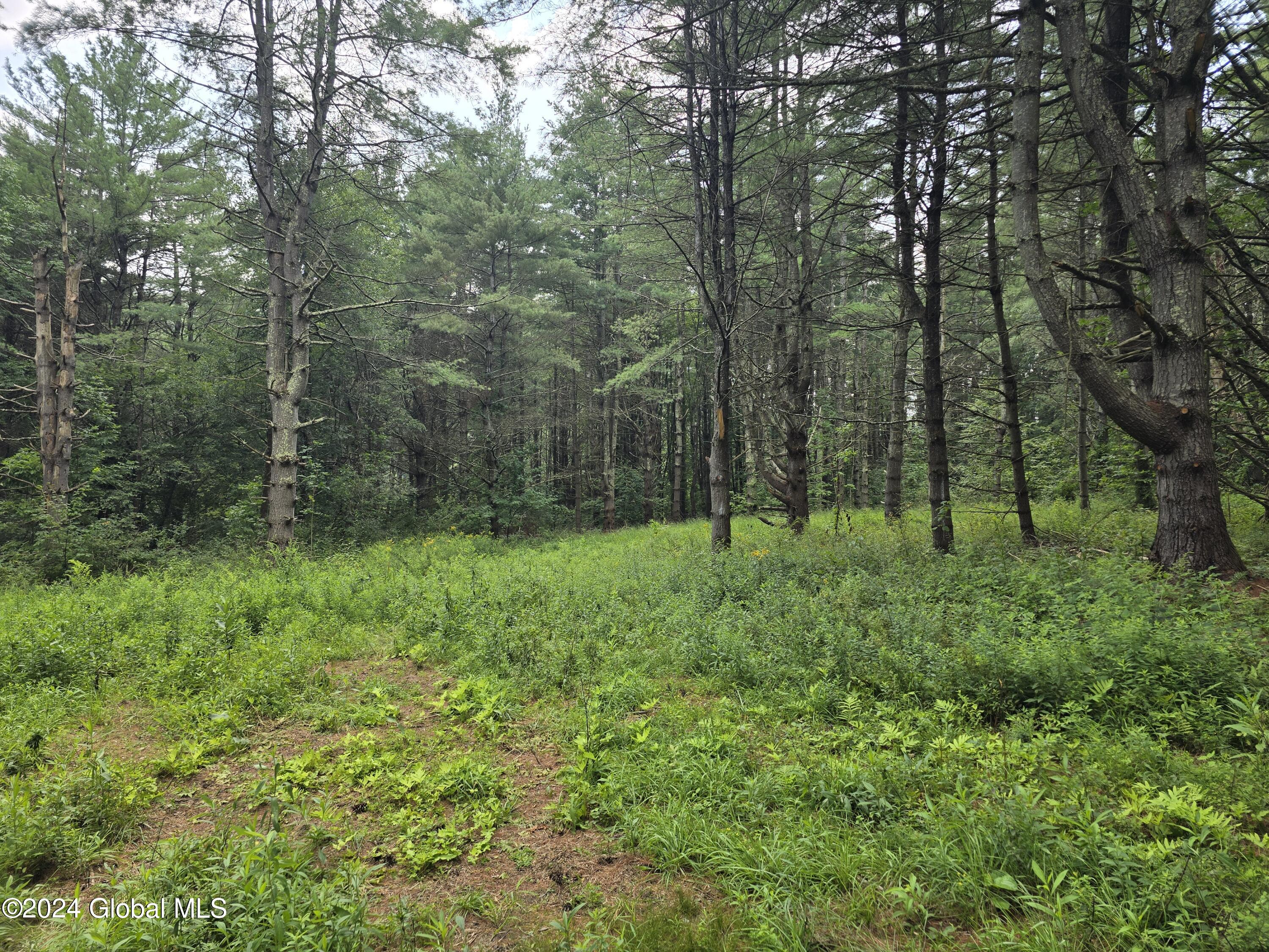 L 2 2065 Ny-313, Shushan, New York image 6