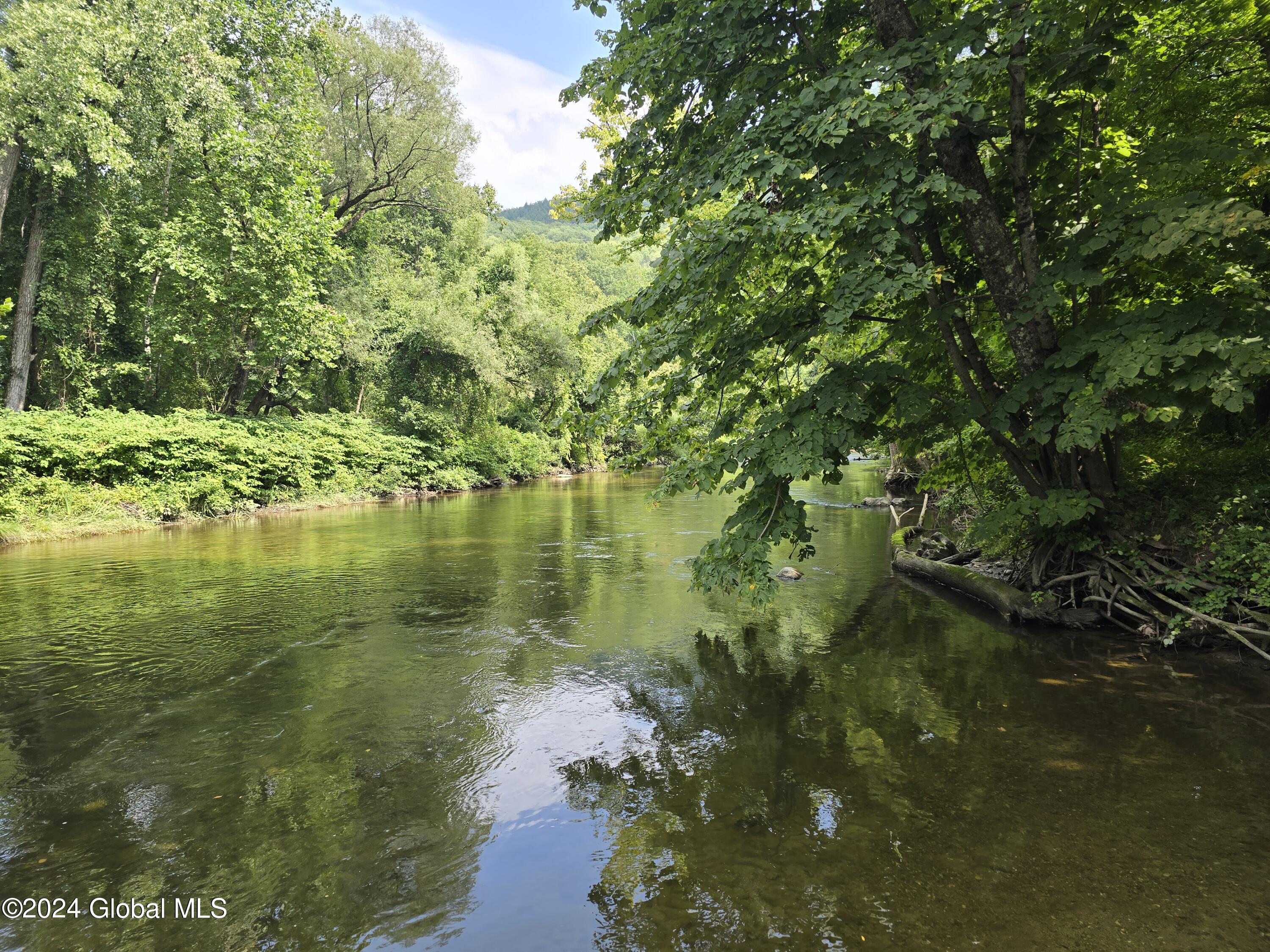 L 2 2065 Ny-313, Shushan, New York image 25
