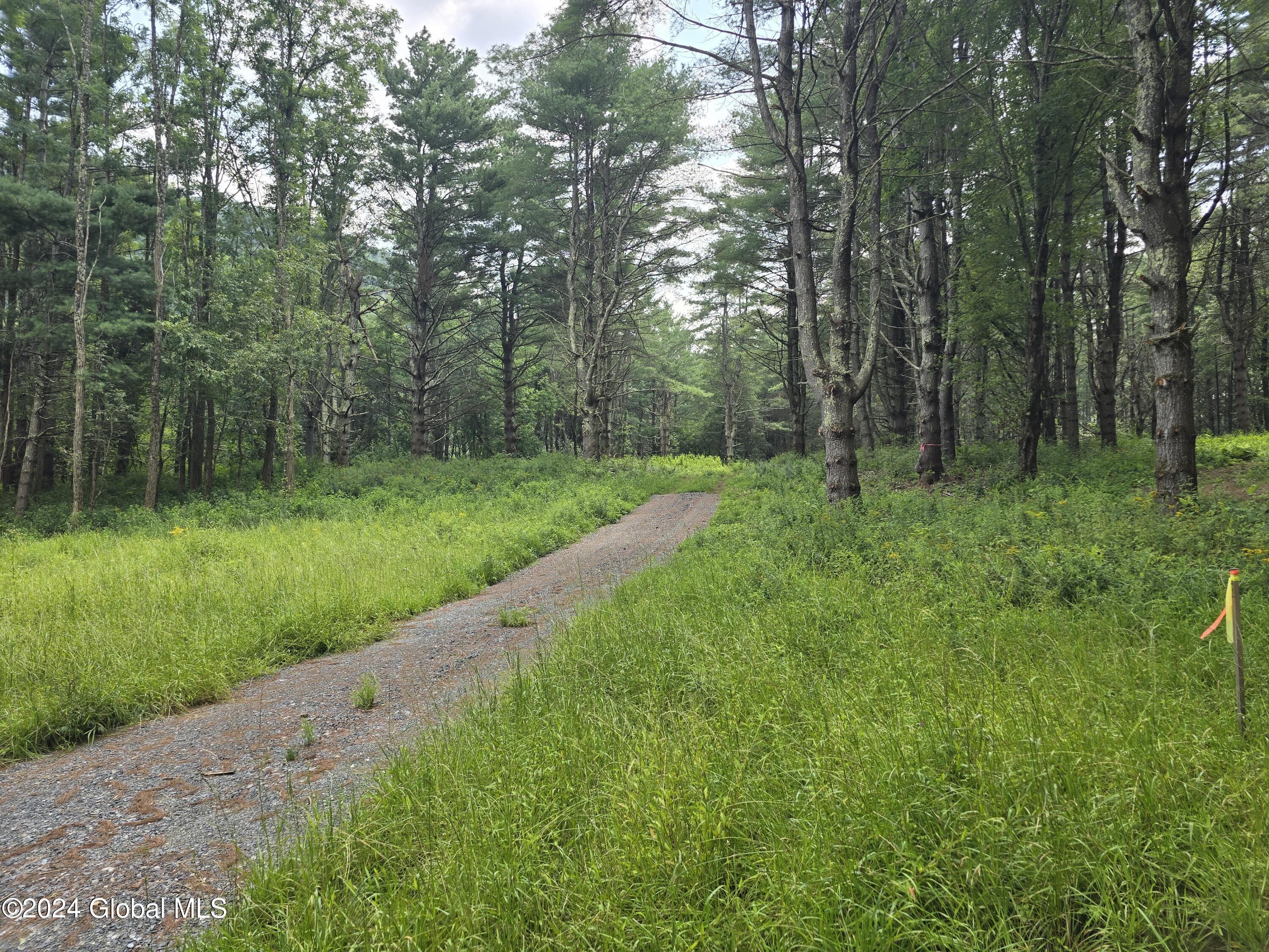 L 2 2065 Ny-313, Shushan, New York image 3