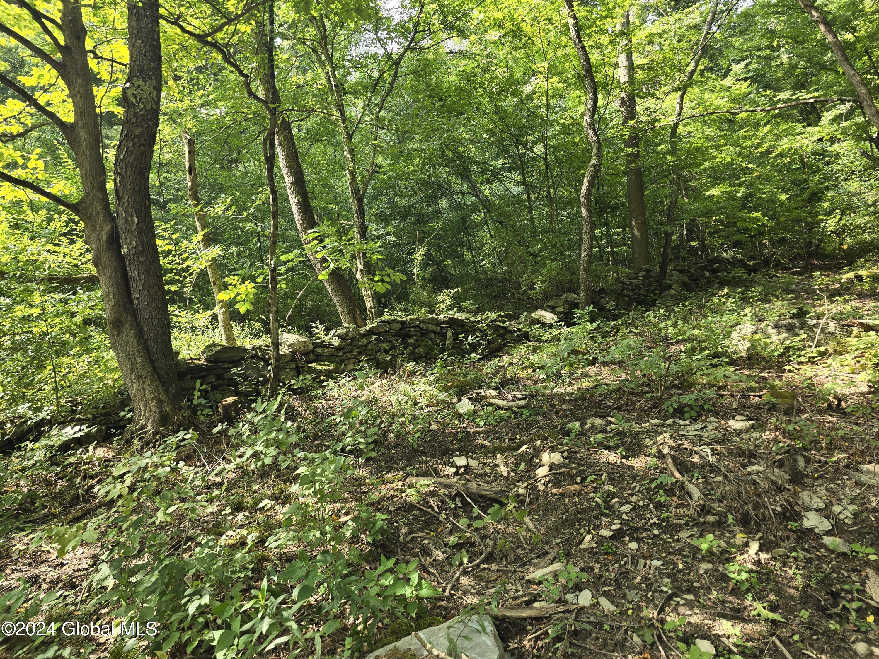 L 2 2065 Ny-313, Shushan, New York image 18