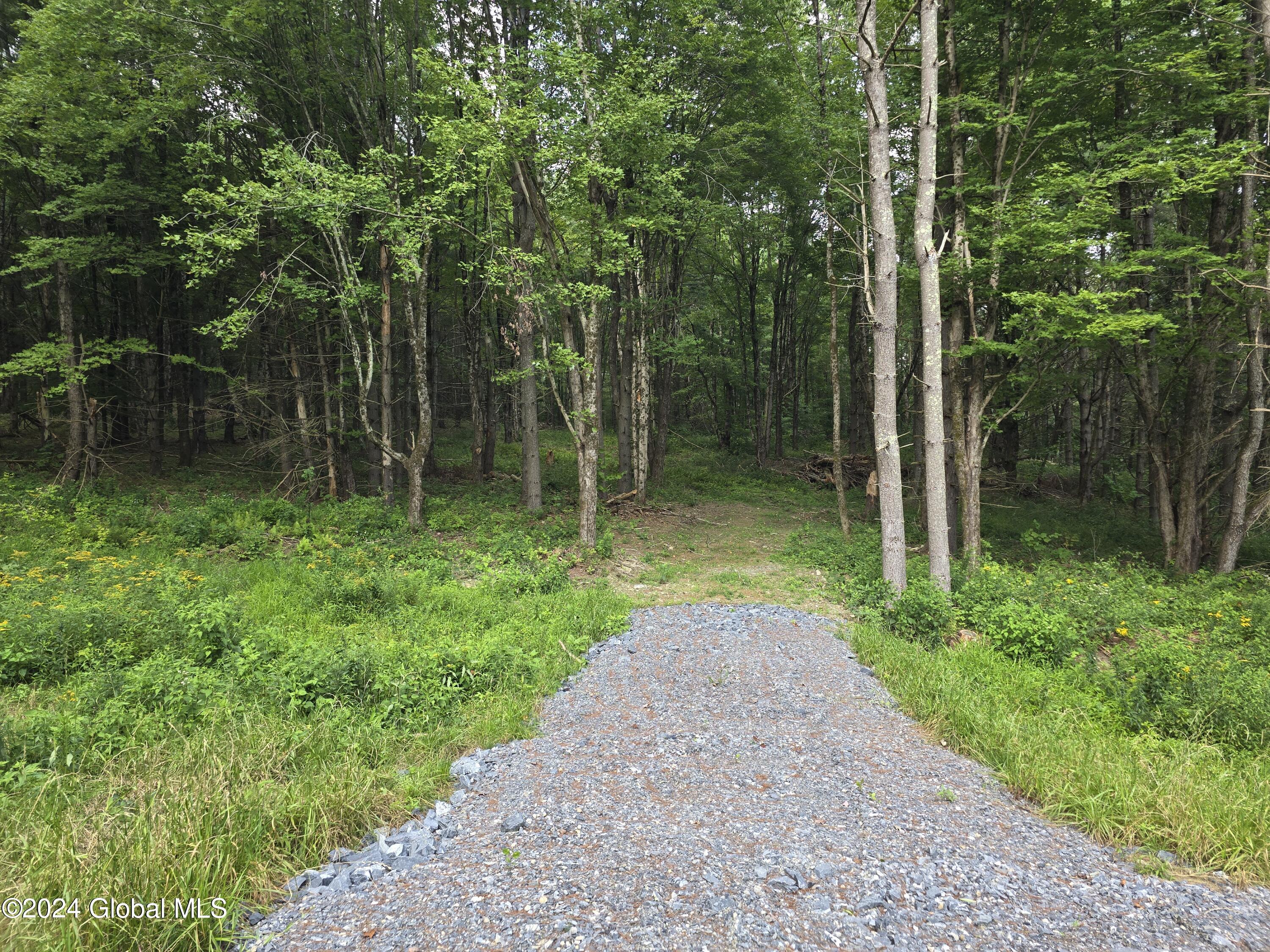 L 2 2065 Ny-313, Shushan, New York image 19