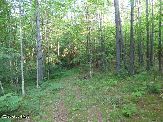 91 Gull Bay Road, Putnam Station, New York image 5