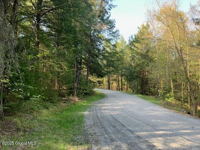 Trout Falls Road, Bolton Landing, New York image 10