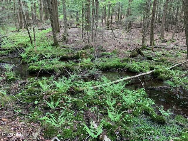 Trout Falls Road, Bolton Landing, New York image 8