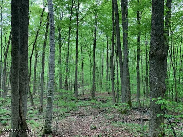 Trout Falls Road, Bolton Landing, New York image 6