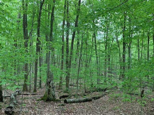 Trout Falls Road, Bolton Landing, New York image 3
