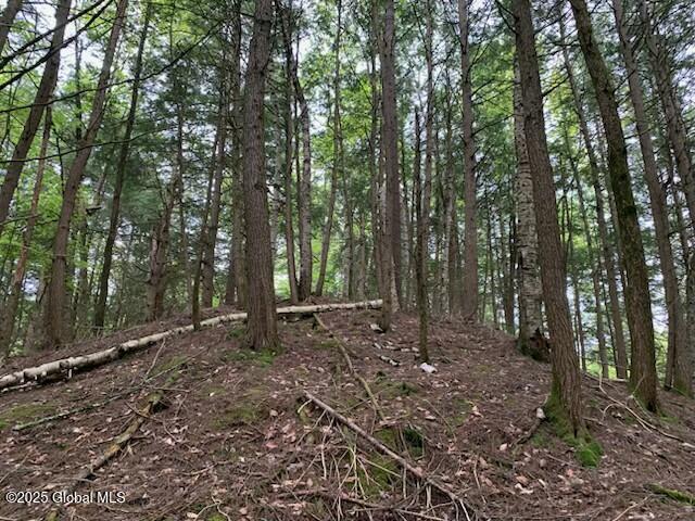 Trout Falls Road, Bolton Landing, New York image 13
