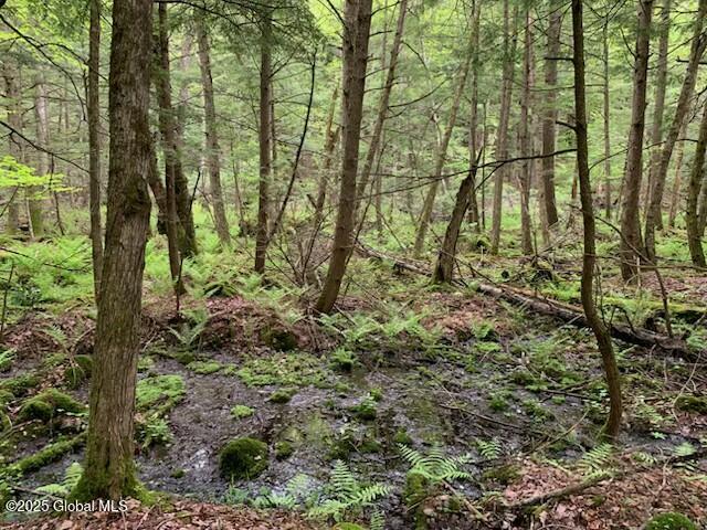 Trout Falls Road, Bolton Landing, New York image 2